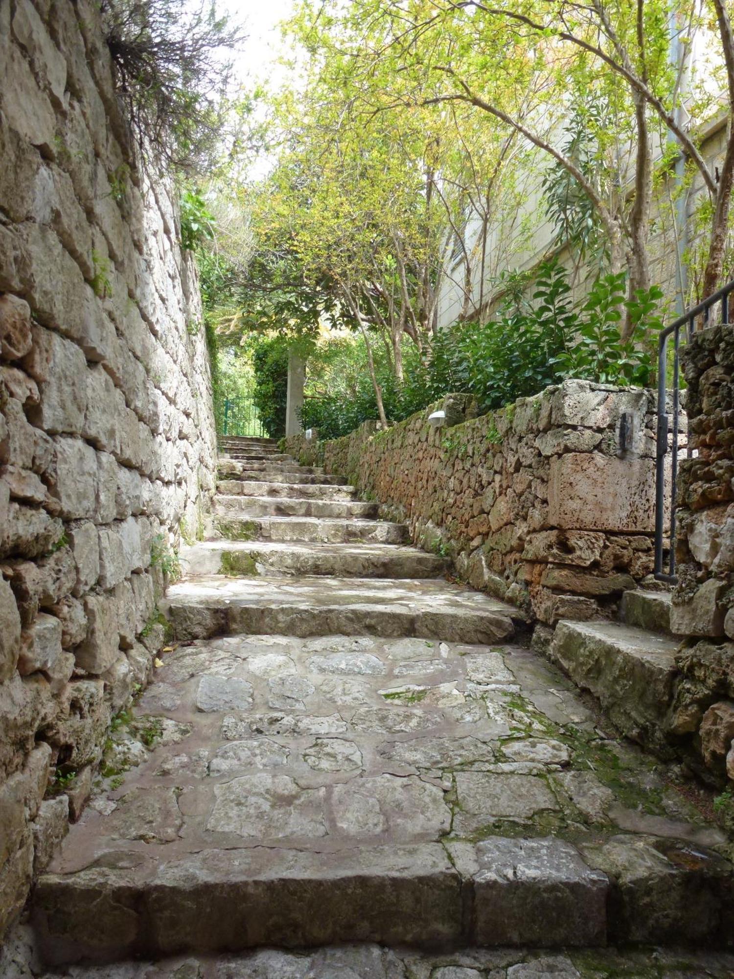 Villa Fede มลินี ภายนอก รูปภาพ