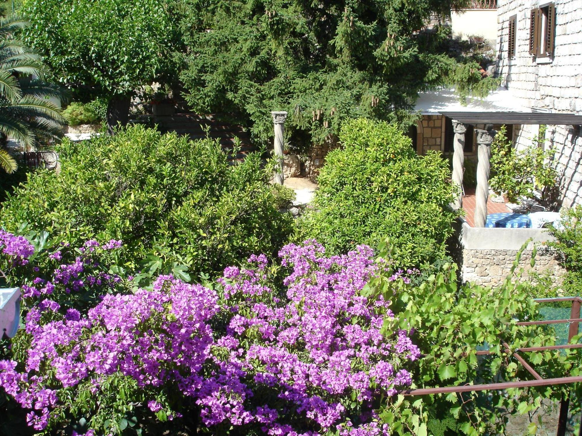 Villa Fede มลินี ภายนอก รูปภาพ